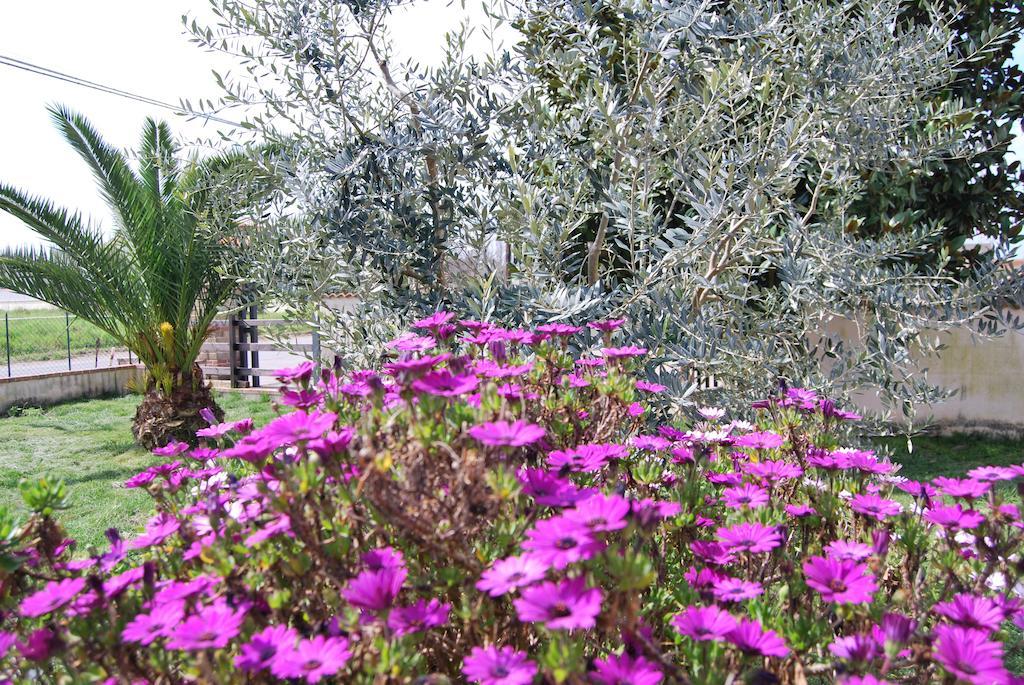 Agriturismo Torre Cristina Aprilia Exteriér fotografie