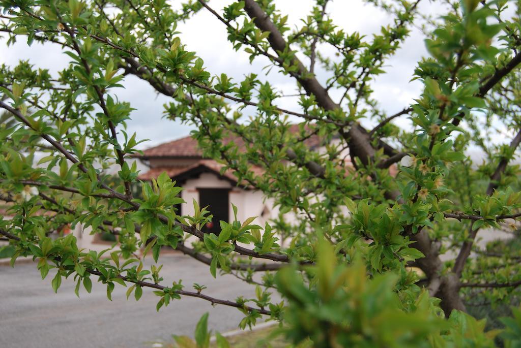 Agriturismo Torre Cristina Aprilia Exteriér fotografie